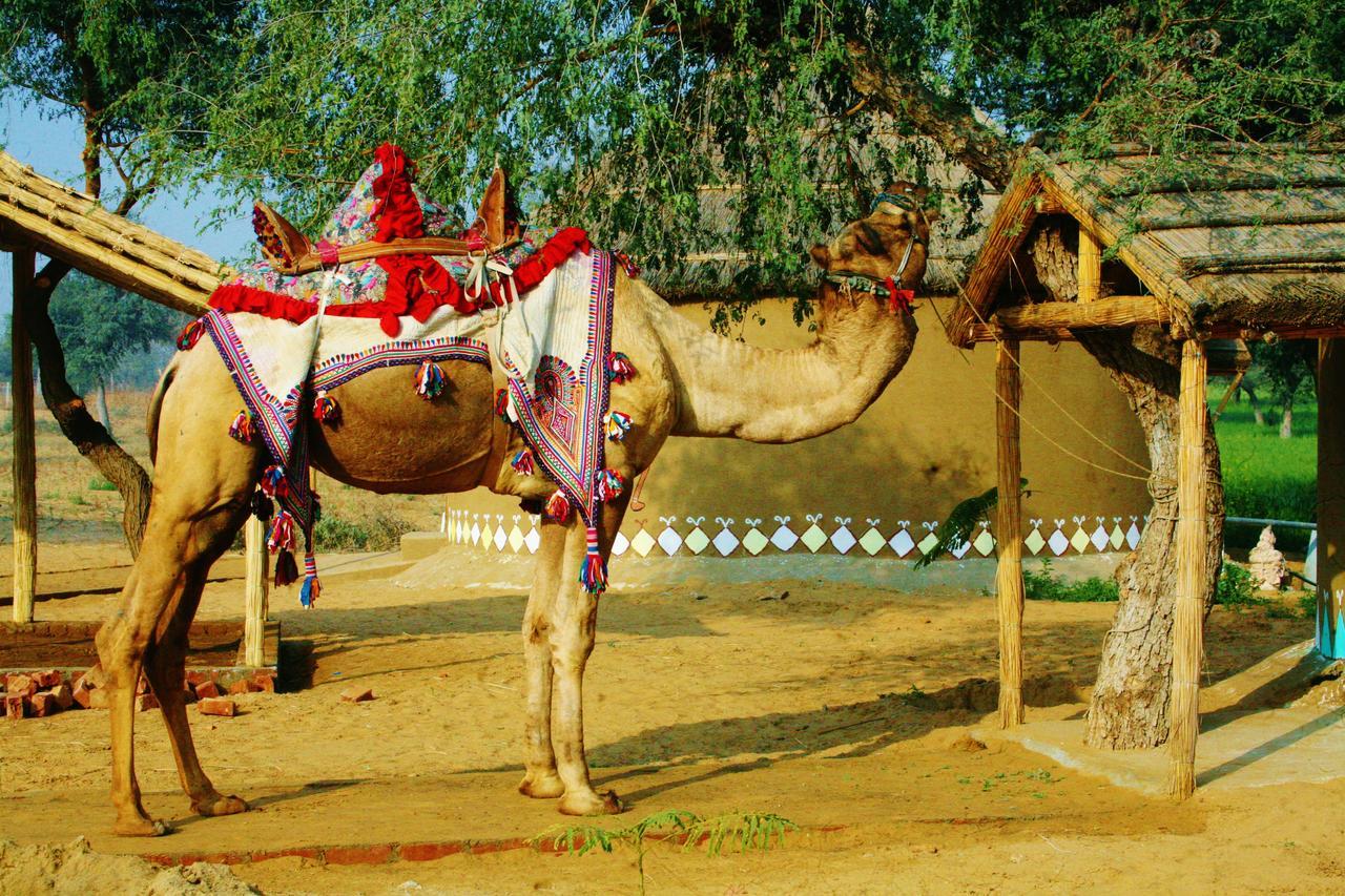 Hotel Desert Nights à Mandāwa Extérieur photo